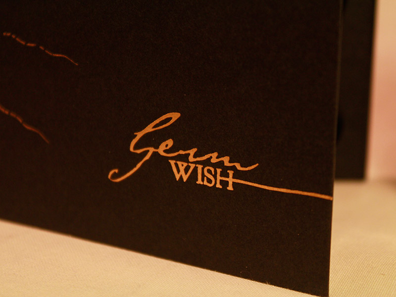 Germ's Wish digibook cover detail.